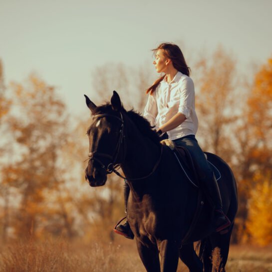 Young girl riding a horse.
